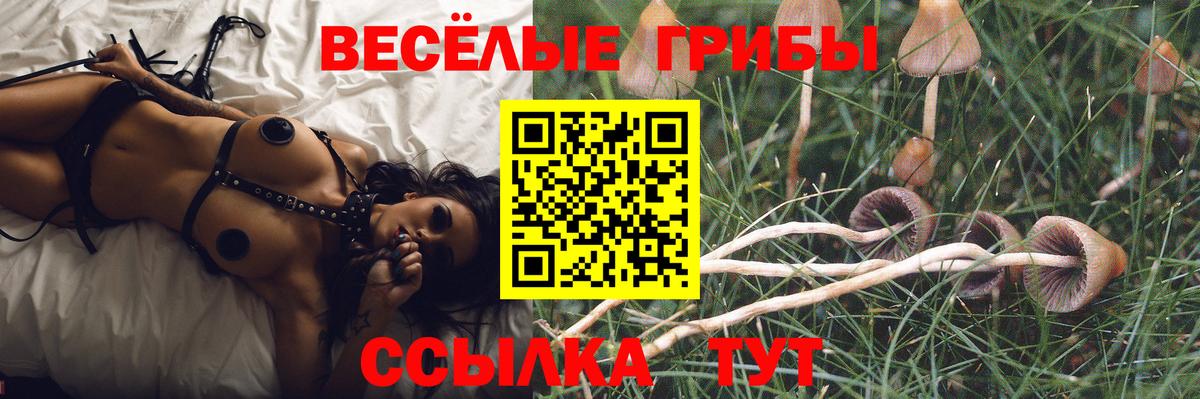 Полевской  Псилоцибиновые грибы Cubensis  продажа наркотиков  Вход с VPN 
